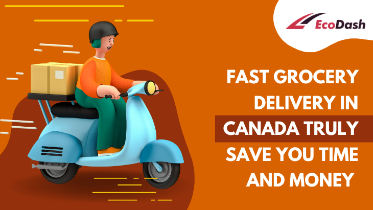 Fast Grocery Delivery in Canada Truly Save You Time and Money